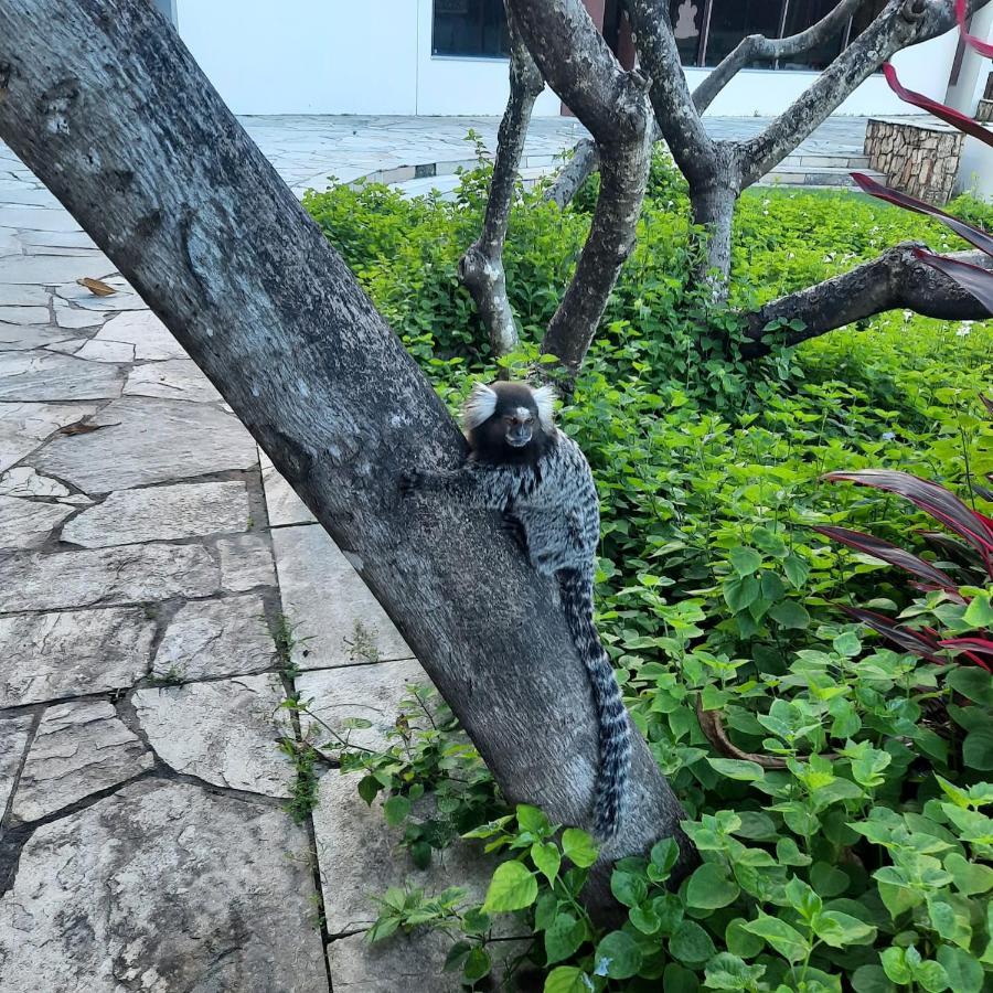 Flat Nannai Residence - Muro Alto Pôrto das Galinhas 外观 照片